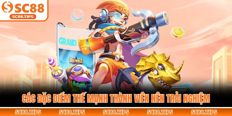 Các đặc điểm thế mạnh thành viên nên trải nghiệm
