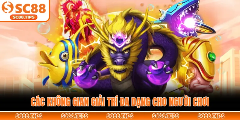 Các không gian giải trí đa dạng cho người chơi