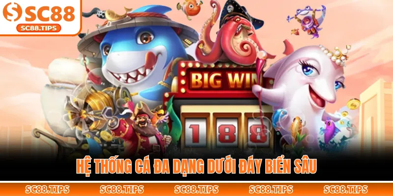 Hệ thống cá đa dạng dưới đáy biển sâu