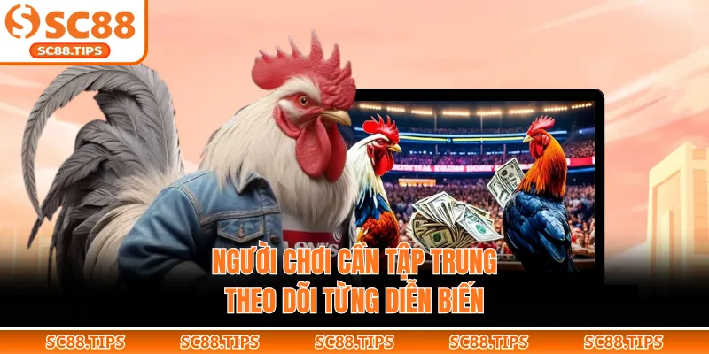 Người chơi cần tập trung theo dõi từng diễn biến