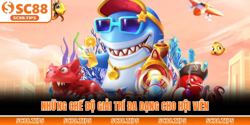 Những chế độ giải trí đa dạng cho hội viên