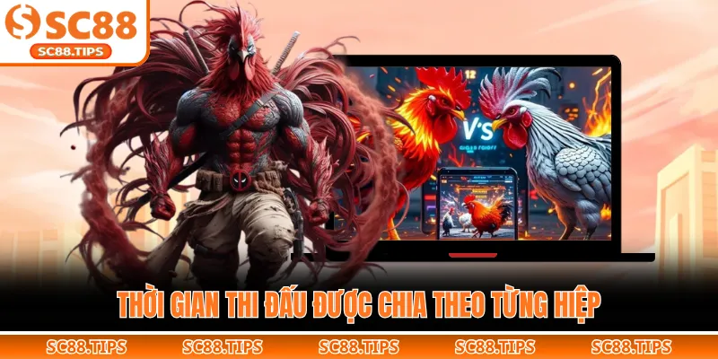 Thời gian thi đấu được chia theo từng hiệp