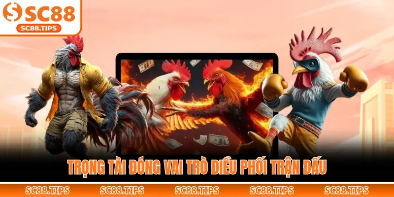 Trọng tài đóng vai trò điều phối trận đấu